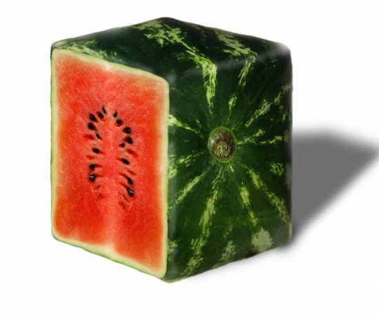 square watermelons