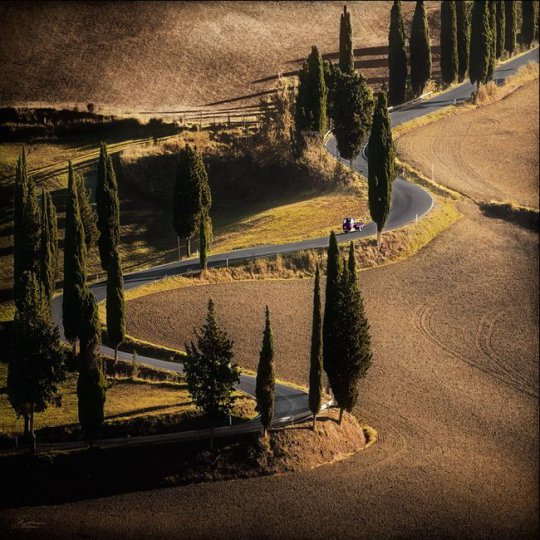 Toscana,  Italy